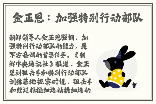 少妇日B